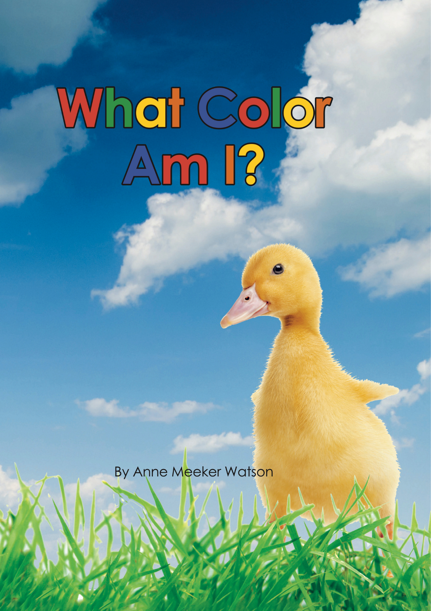 What Color Am I?: Early Development Book Kit for Preschoolers