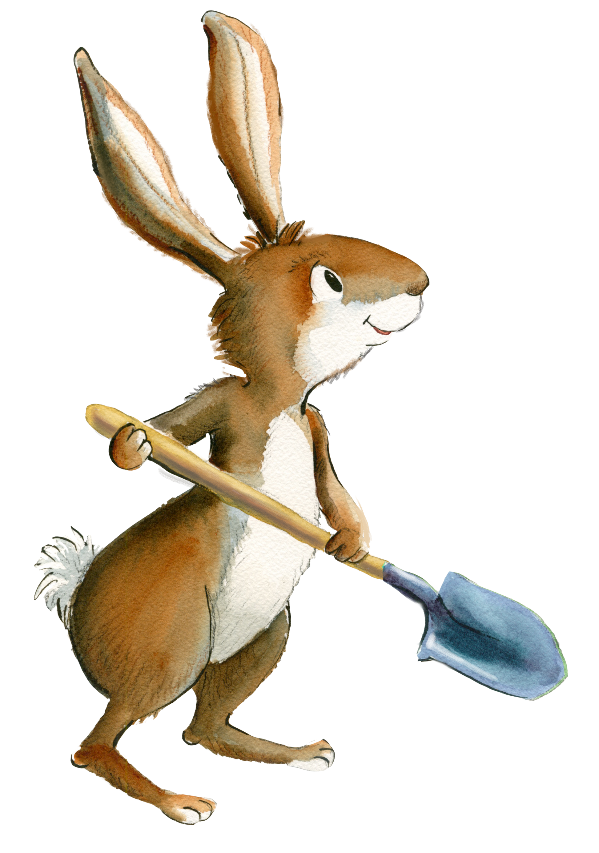 Rabbit Book